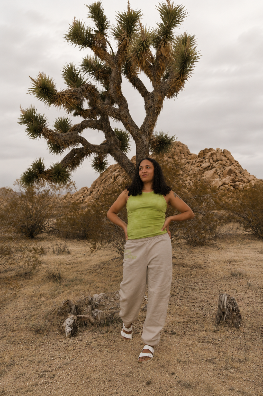 Joshua Tree - Classic Sweatpant