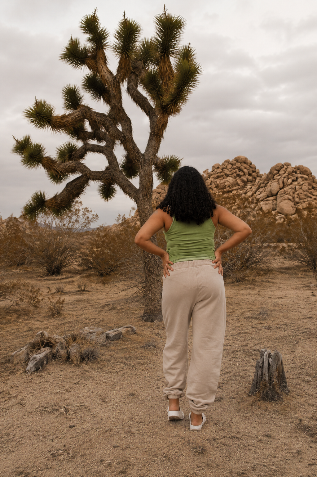 Joshua Tree - Classic Sweatpant