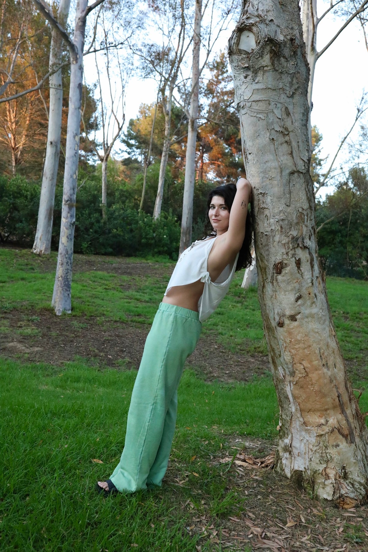 California Juniper - Trees Sweatpants