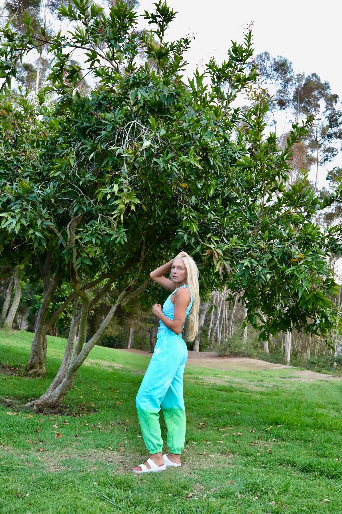 Tropical Canopy - Classic Sweatpant