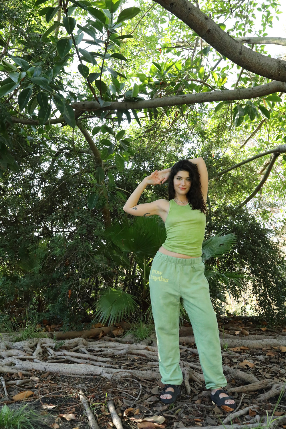 Honey Locust - Classic Sweatpant