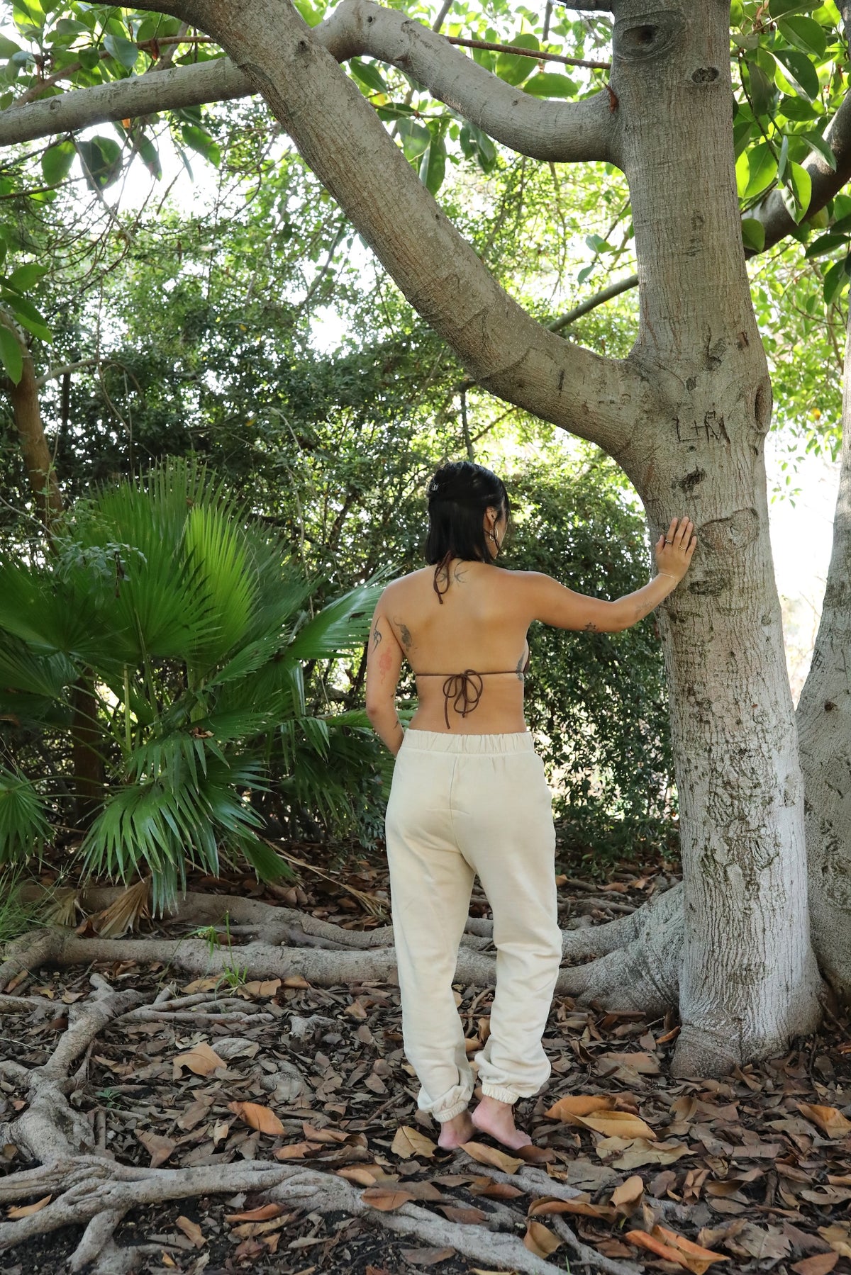 Joshua Tree - Classic Sweatpant