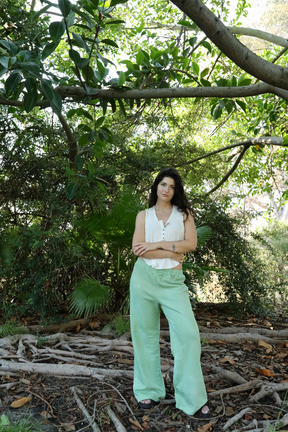 California Juniper - Trees Sweatpants