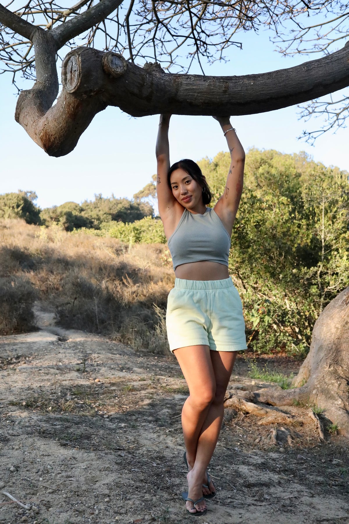 Pistachio Sweatshorts