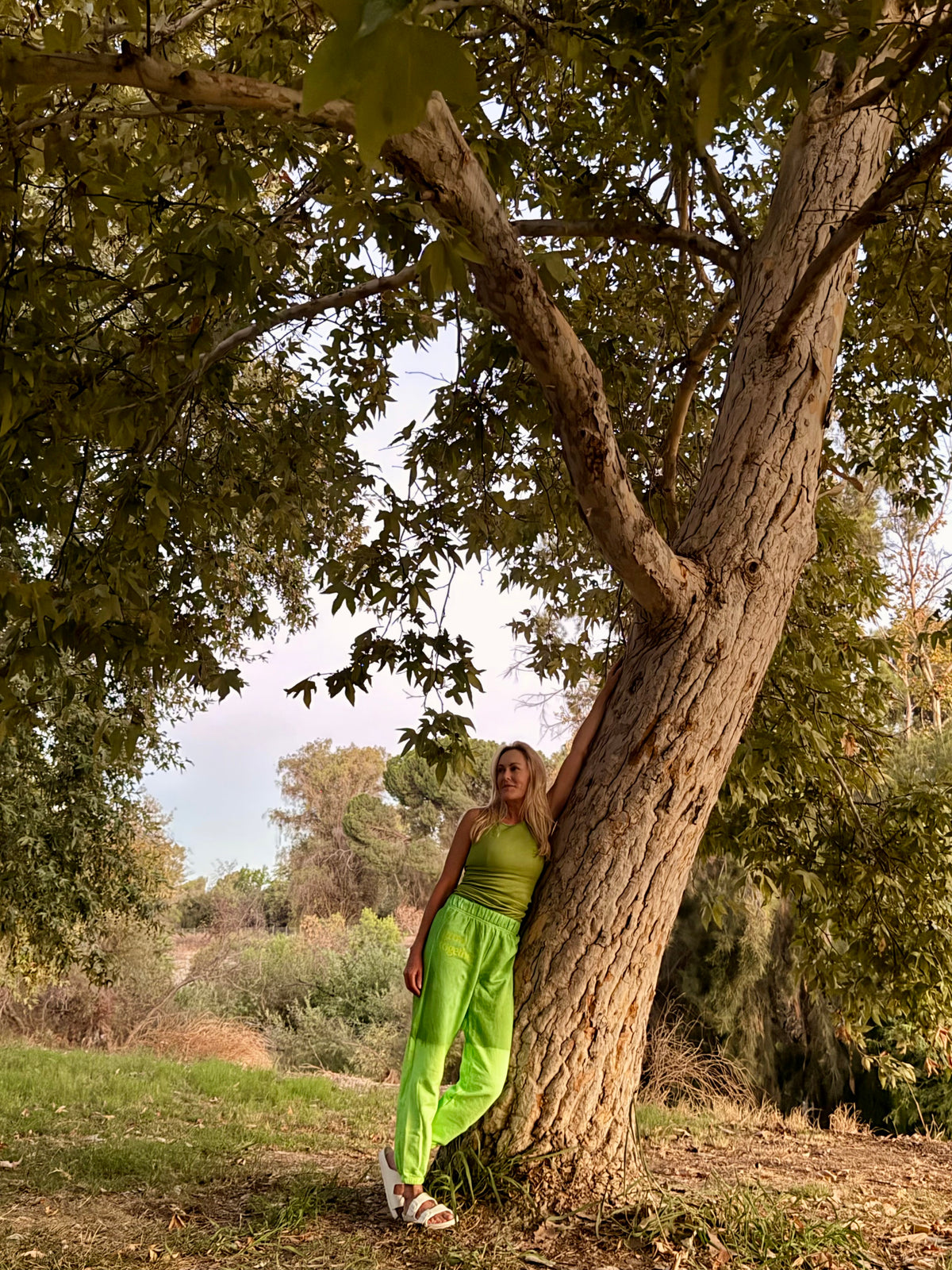 Jungle Palms - Classic Sweatpant