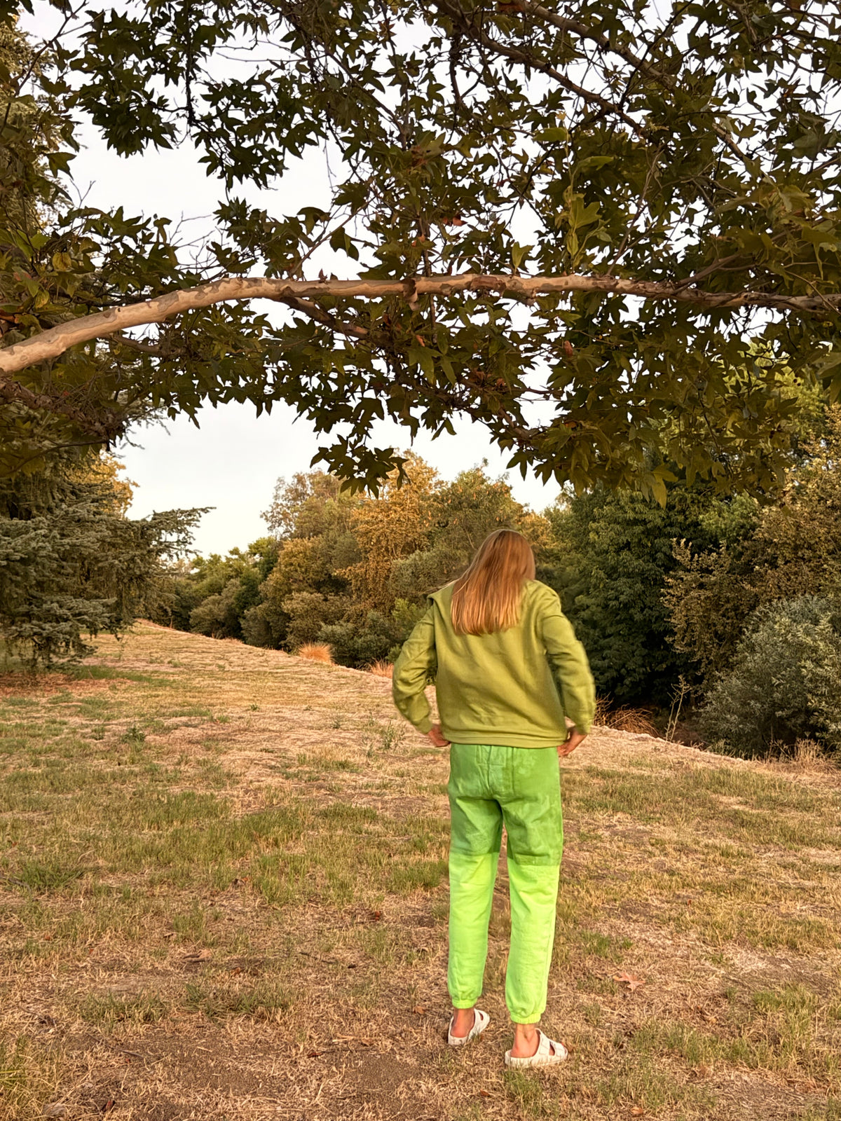 Jungle Palms - Classic Sweatpant