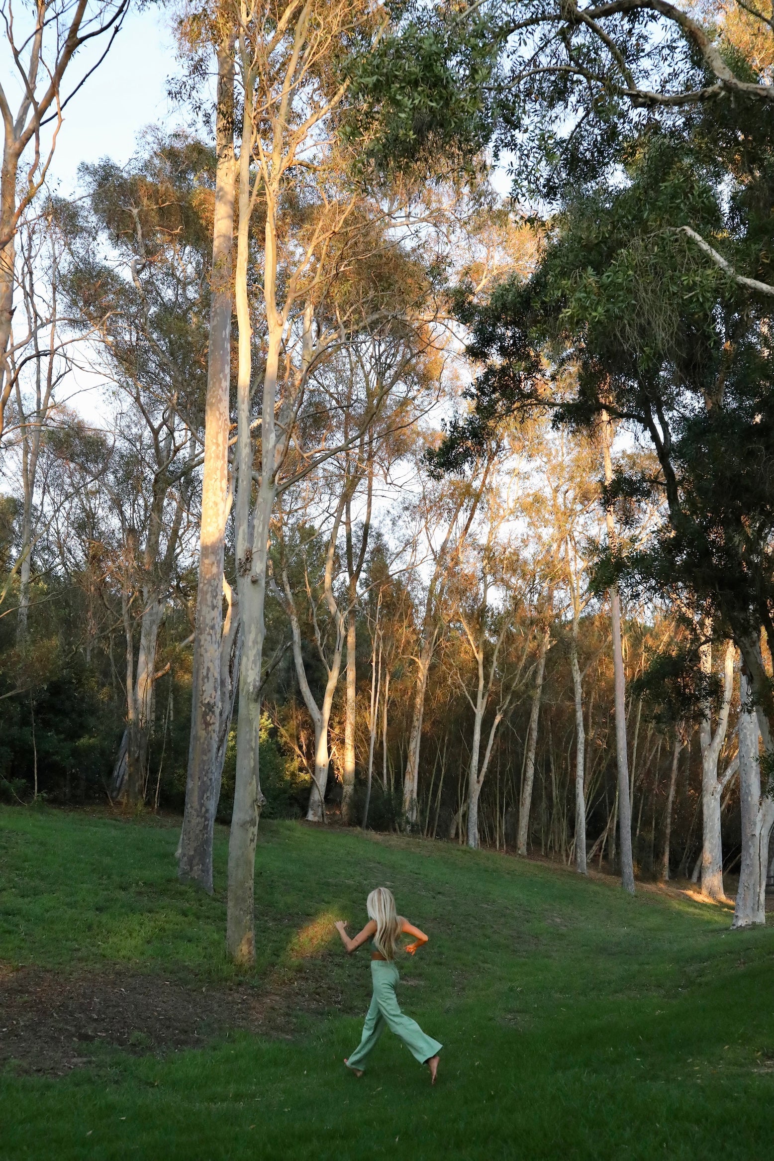 A woman wearing Trees clothing walking through a sunlit grove