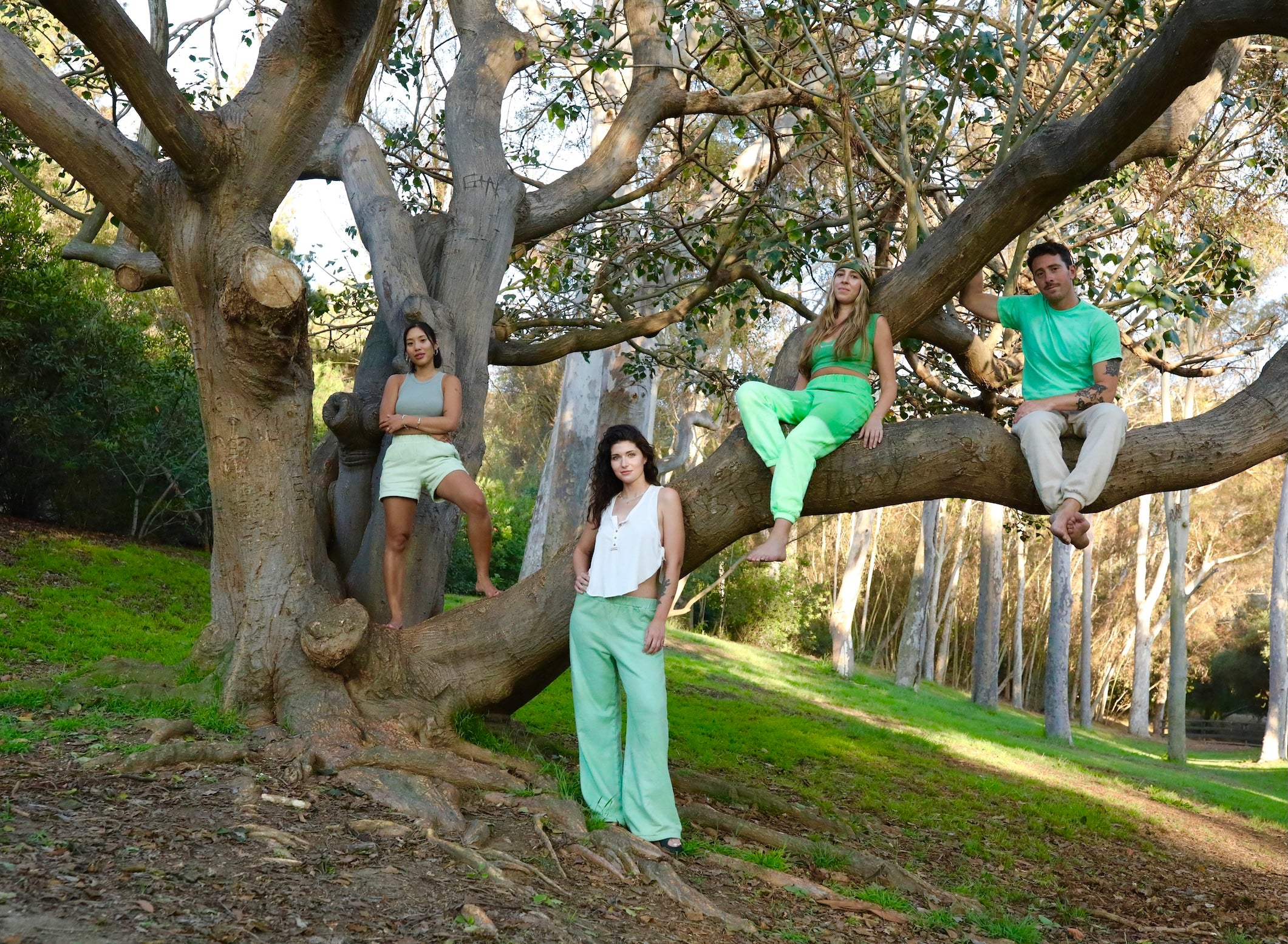 Friends gathered together in the branches of a large tree