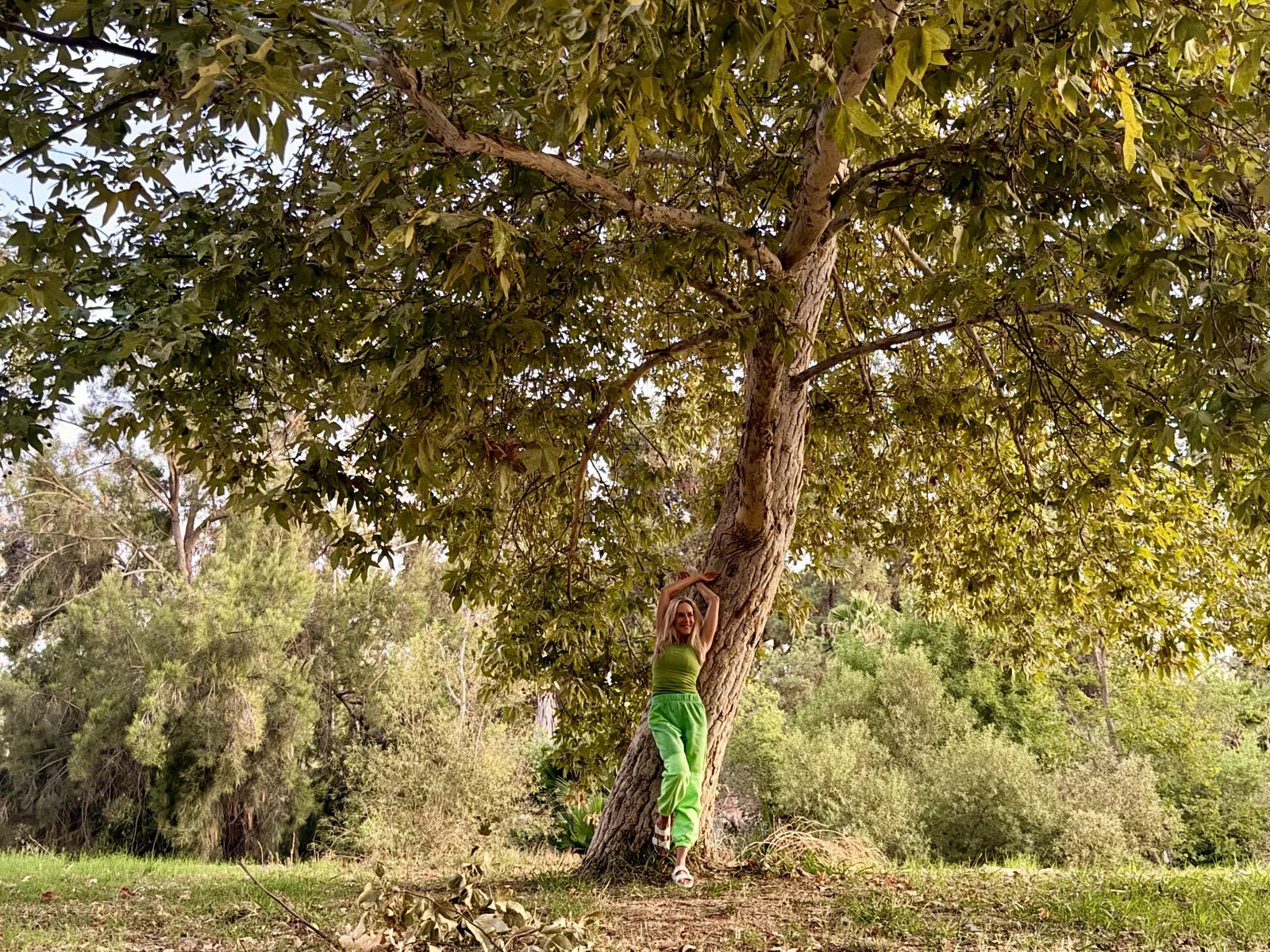 A person wearing Trees clothing beneath a mature tree